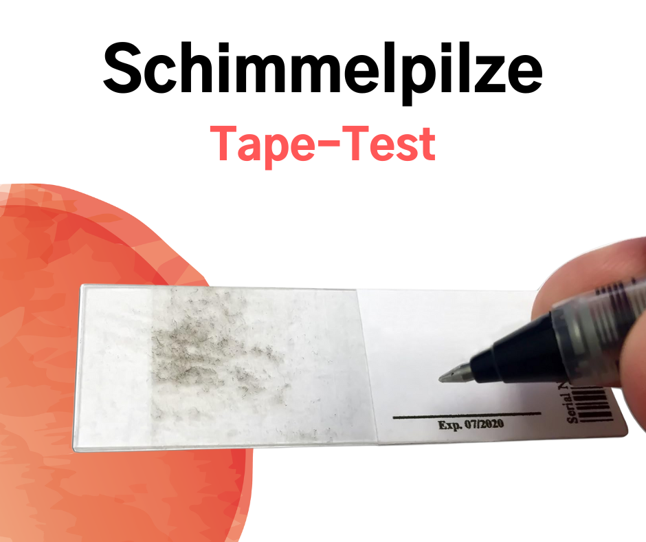 Schimmelpilze